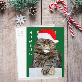 Festividades Cartão postal de Humbug do Cat Natal