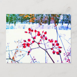 FESTIVIDADES CARTÃO POSTAL DE INVERNO COM FRUTAS VERMELHAS
