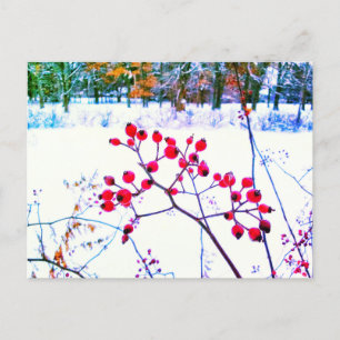 FESTIVIDADES CARTÃO POSTAL DE INVERNO COM FRUTAS VERMELHAS