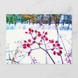 FESTIVIDADES CARTÃO POSTAL DE INVERNO COM FRUTAS VERMELHAS