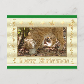Festividades Cartão postal de Natal Bobcat