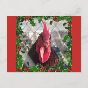 Festividades Cartão postal de Natal da Galeria Holly