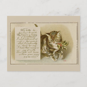Festividades Cartão Postal de Natal de Gatinho Antigo