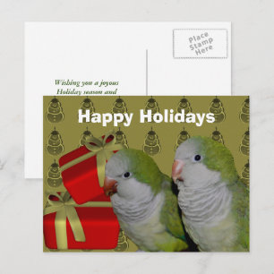Festividades Cartão postal de Natal do Quaker Parrot