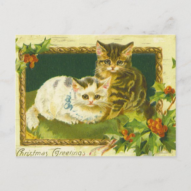 Festividades Cartão postal de Natal Kittens (Frente)