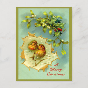 Festividades Cartão postal de Natal para as aves de inverno da