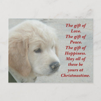 Festividades Cartão postal de Natal para cães do ouro Retriever