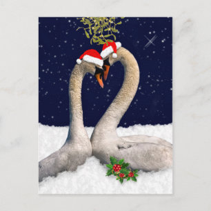Festividades Cartão postal de Natal para os Swans Sazonais