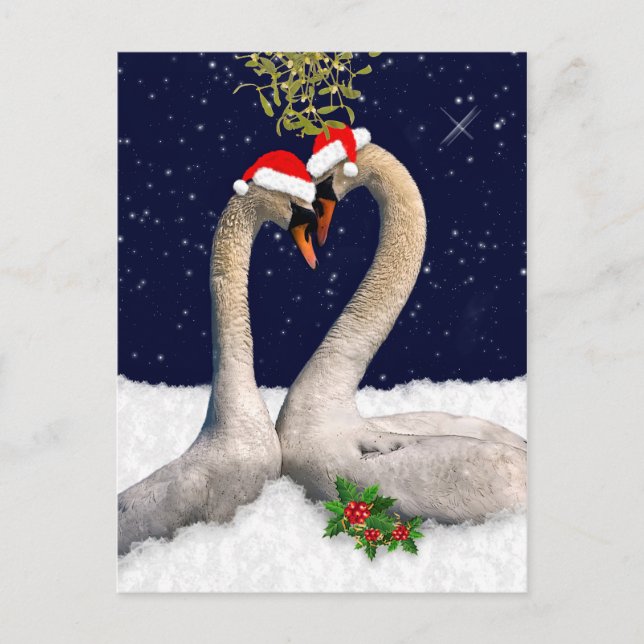 Festividades Cartão postal de Natal para os Swans Sazonais (Frente)