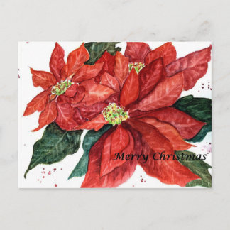 Festividades Cartão postal de Natal Poinsettia