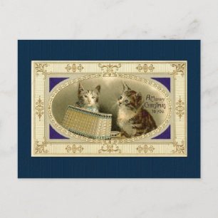 Festividades Cartão postal de Natal Vintage Kitten