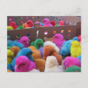 Festividades Cartão postal de páscoa