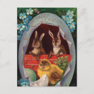 Festividades Cartão postal de Pintinho e Bunnies de Páscoa