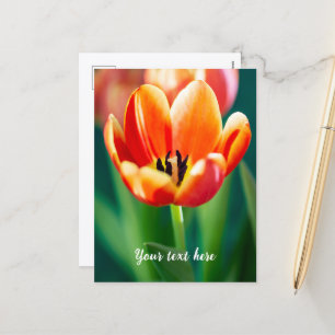 Festividades Cartão postal de tulipa laranja