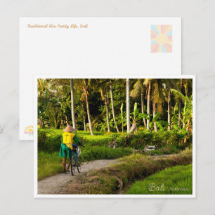Festividades Cartão Postal do Pôr do Sol no Campo de Arroz de B