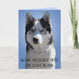 Festividades Cartão Siberiano Husky/Vazio de Cartão Malamute do