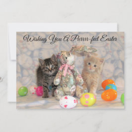 Festividades Cartão Simples do Coelho de Páscoa de Patton e Buf