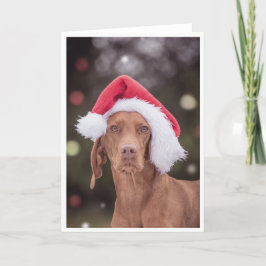 Festividades Cartão Xmas/Cartão de Natal "Magyar Vizsla"
