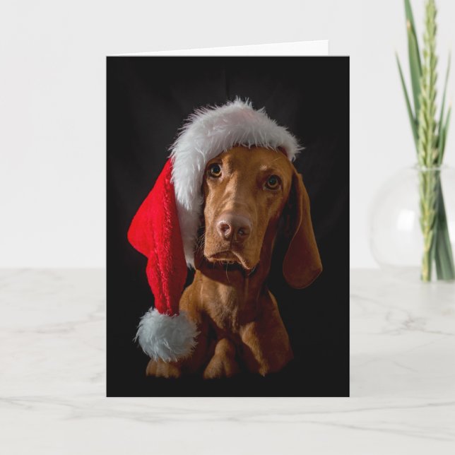Festividades Cartão Xmas/Cartão de Natal "Magyar Vizsla" (Frente)