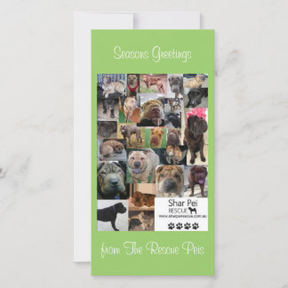 Festividades Cartão Xmas de Emergência Shar Pei