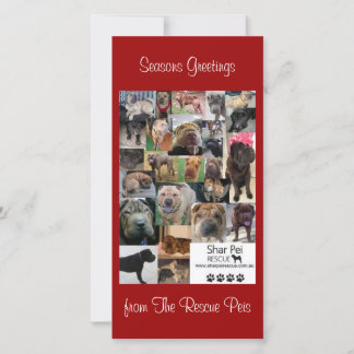 Festividades Cartão Xmas de Emergência Shar Pei