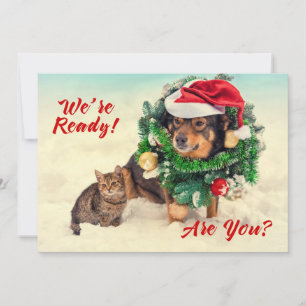 Festividades Cat & Cão Dois Cartão de Natal Lado