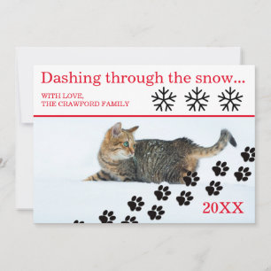Festividades Cat Dashing Through the Snow - Cartão de Natal