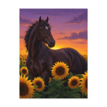 Cavalo Girassol ao Pôr do Sol Cartão Postal de Art