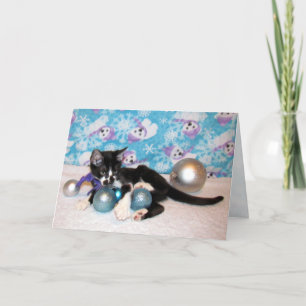 Festividades Cowboy, o Adorável Cartão de Natal de Kitten (Ca