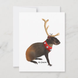 Festividades Cutia - cartão de Natal