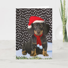 Festividades Dachshund Um Cartão De Natal Para Neve