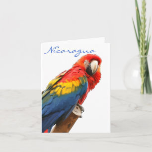 Festividades Do Macaw de Nicarágua escarlate de cartão de not