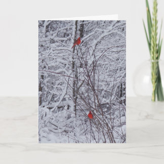 Festividades Dois Cardinhos Cartão de Natal 7x5