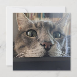 Festividades E aí, Cat? Cartão de Saudação ao Quadrado