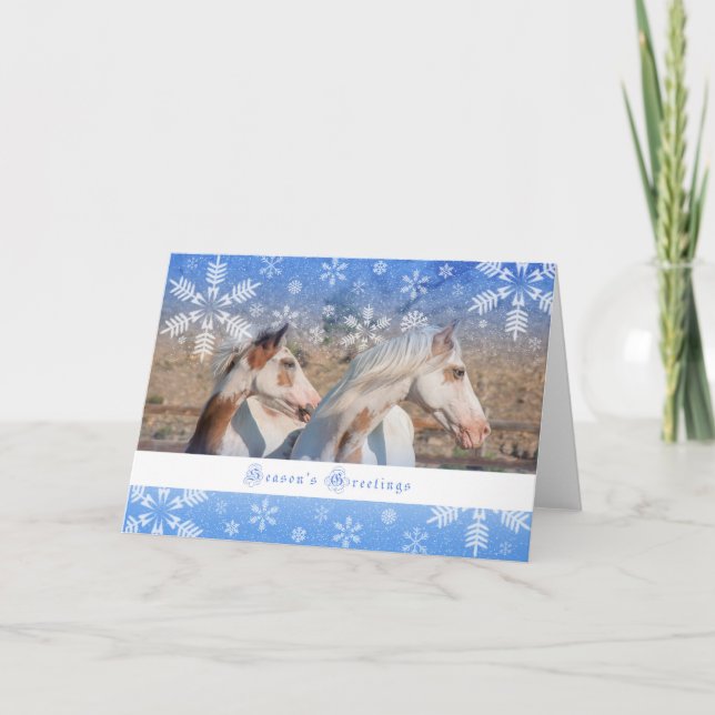 Festividades Égua Choctaw e Potro - Cartão de Férias 5x7 (Frente)