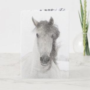 Festividades Égua Nevada - Cartão de Saudação de Cavalo