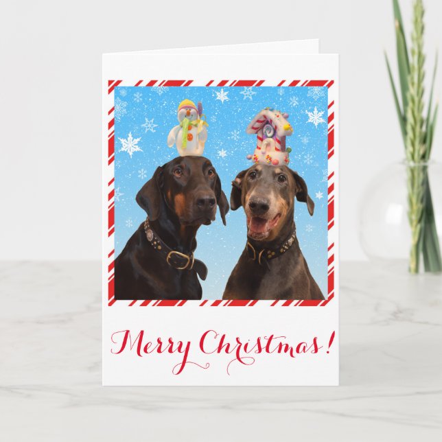 Festividades Engraçado, fofo cartão de Natal de cão Doberman (Frente)