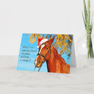 Festividades Equina Cavalo Santa Hat Cartão de Natal Engraçado