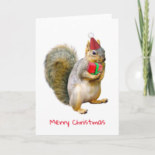 Festividades Esquilo com Cartão de Natal Red Gift