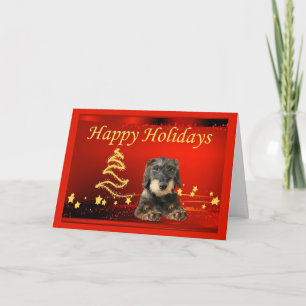 Festividades Estrelas de Cartão de Natal Dachshund
