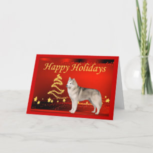 Festividades Estrelas de Cartão de Natal Siberian Husky