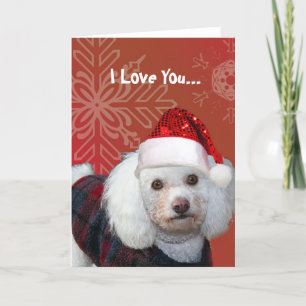 Festividades Eu te amo o cartão de cumprimentos de poodle de Na