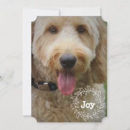 Festividades Família ou Cartão com fotos de Férias de Animais d