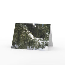 Feliz cartão de boas-vindas de Natal