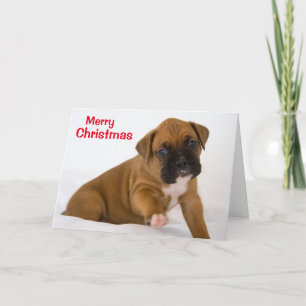 Festividades Feliz Cartão de Boxer de Natal