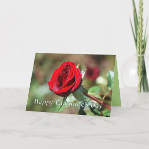Festividades Feliz Dia dos Namorados Cartão de Rosa Vermelha