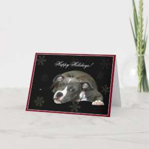 Festividades Feliz feriado Azul Pitbull Cartão de Saudação