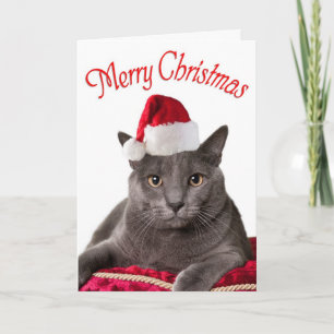 Festividades Feliz Natal, Cartão de Natal de Gato