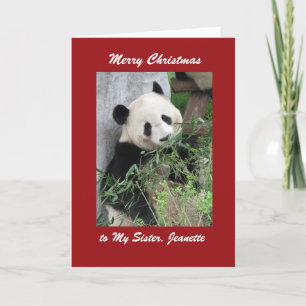 Festividades Feliz Natal Cartão de Saudação Panda, Fronteira