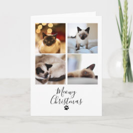 Festividades Feliz Natal Gato Pet Cartão de Natal
